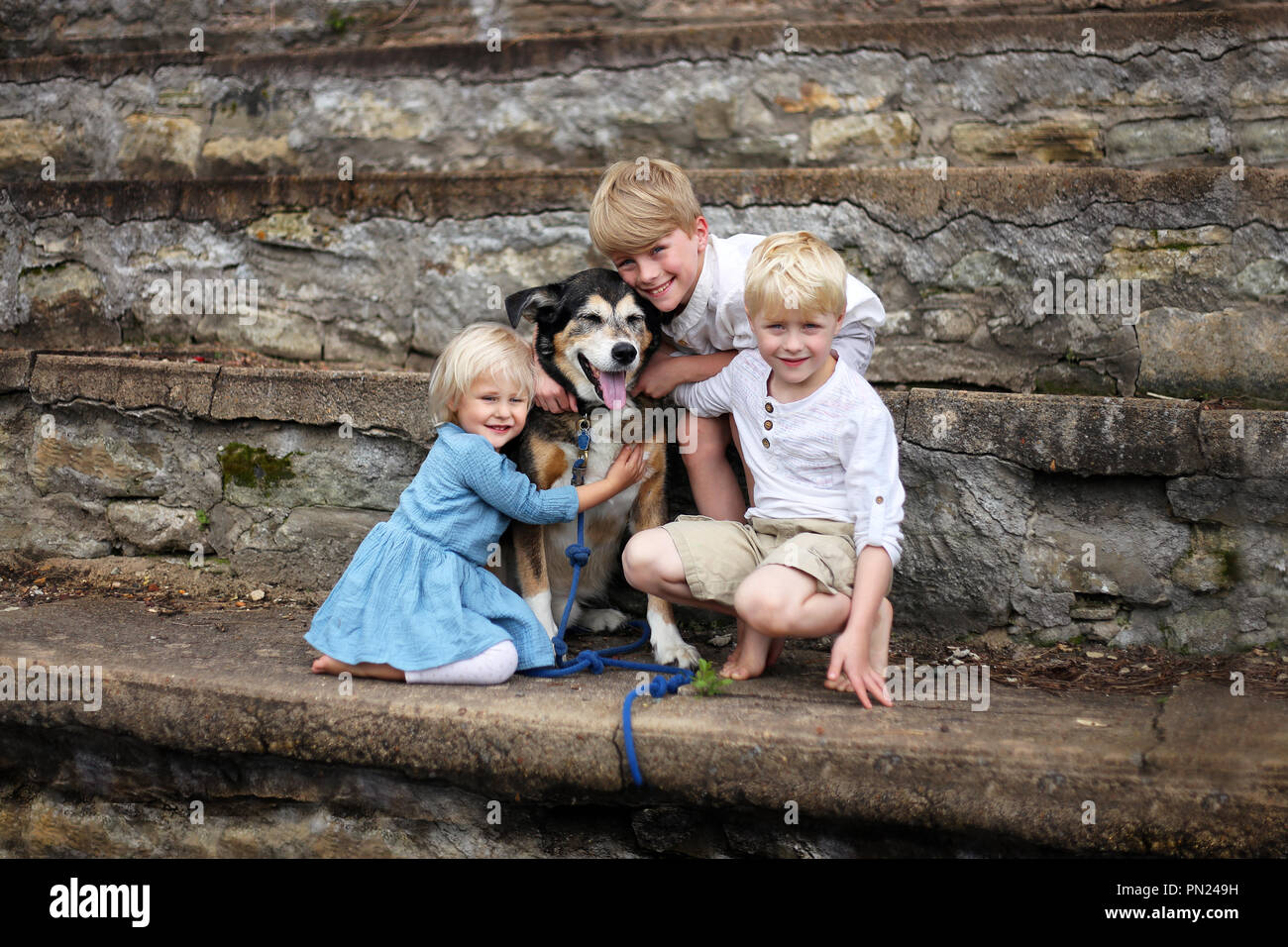 Drei Kinder, zwei Jungen und ihre kleine Schwester, umarmen ihre angenommene Haustier Deutscher Schäferhund Mix Rasse Hund draußen auf Stein Schritte in einem Park gar Stockfoto