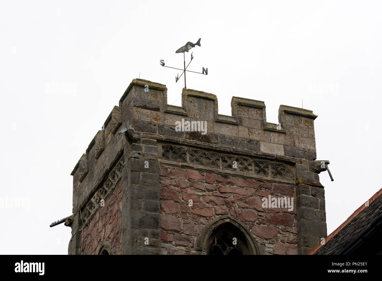 Turm oben mit Fisch Wetterfahne, All Saints Church, Seagrave, Leicestershire, England, Großbritannien Stockfoto