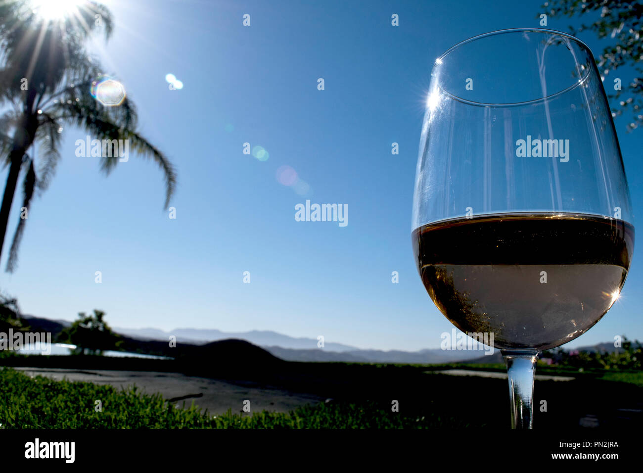 Glas Rose Wein in Kalifornien Stockfoto