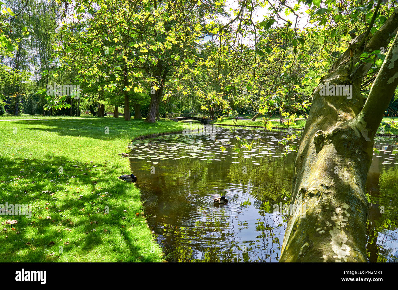 Schloss Schwerin Garten an einem sonnigen Tag, Schwerin, Deutschland. Stockfoto