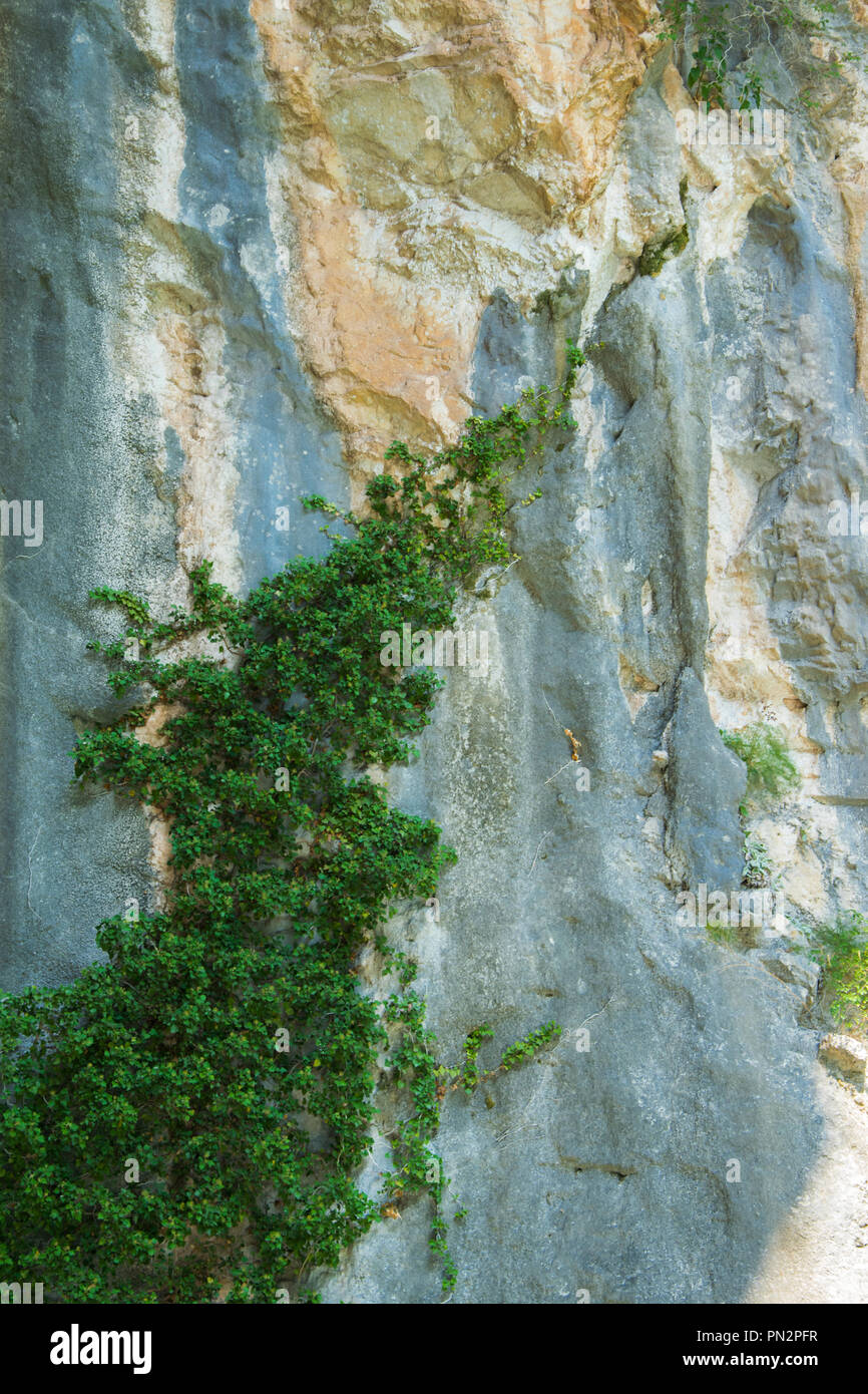 Natürliche Hintergrund eines soliden rauer Stein Wand Stockfoto