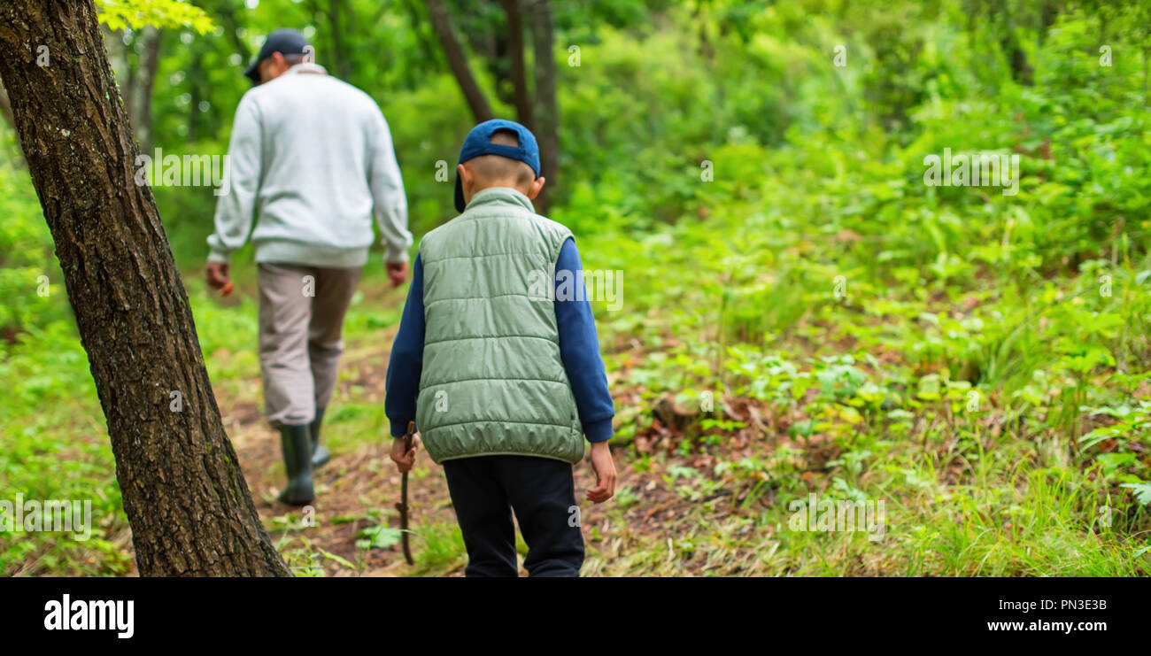 Banner Mann und ein Junge Pilze im Wald sammeln. Wildlife aktive Erholung Tourismus Stockfoto