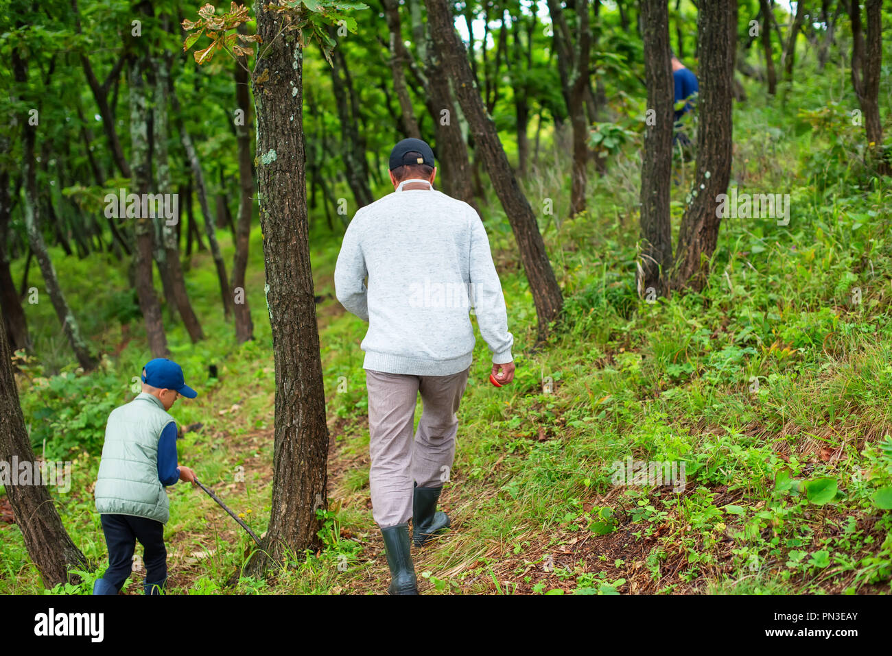 Defokussieren Mann und ein Junge Pilze im Wald sammeln. Wildlife aktive Erholung Tourismus Stockfoto