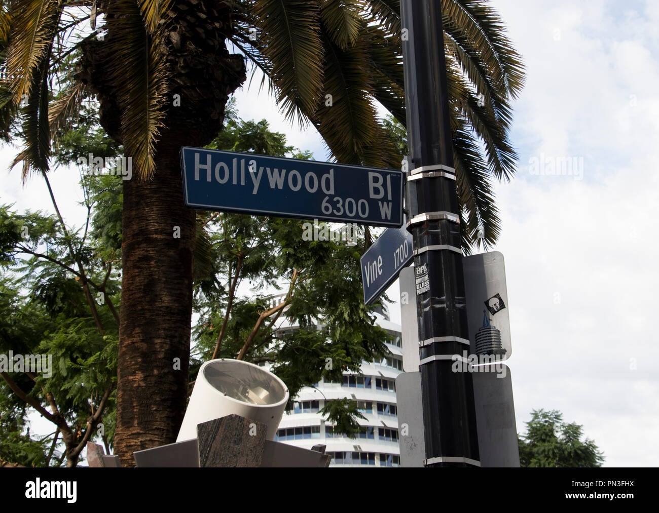 Hollywood Boulevard street sign mit Palmen im Hintergrund. Stockfoto