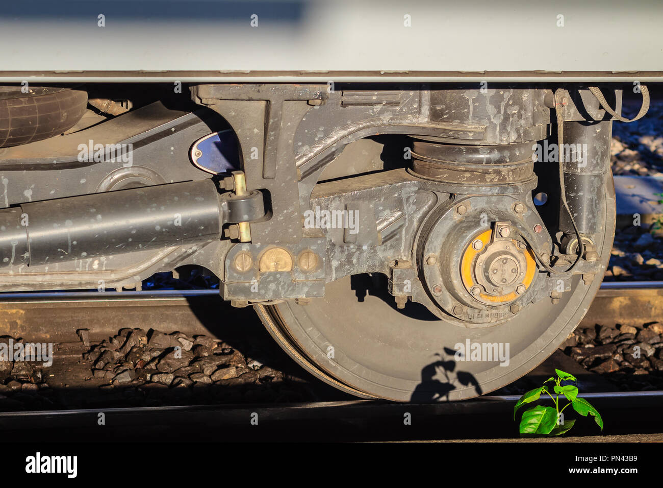 Jahrgang alte Bahn Rad mit kleinen Baum auf die rostigen Eisenbahn. Stockfoto