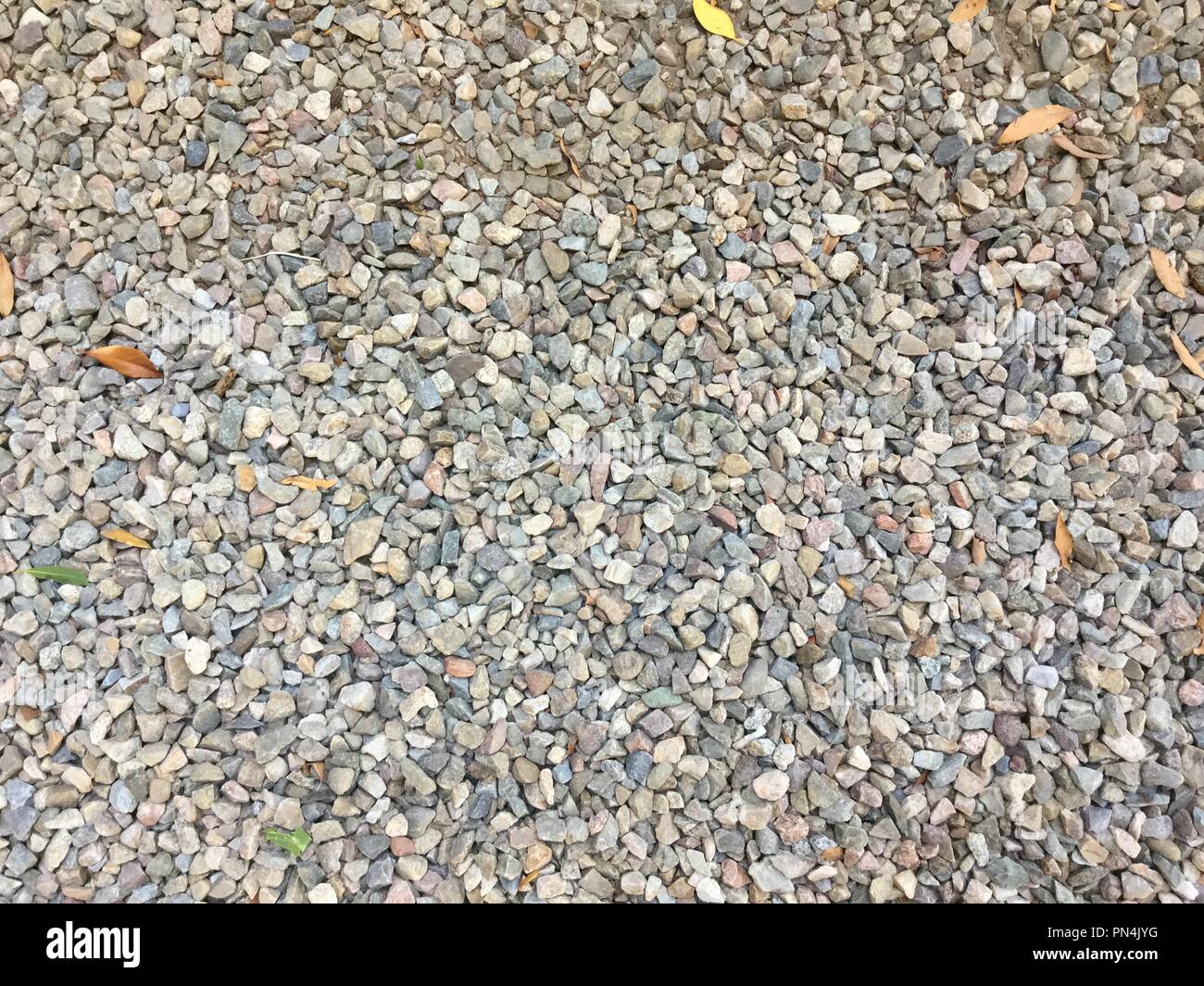 Kies Boden abdecken mit ein paar Blätter. Stockfoto