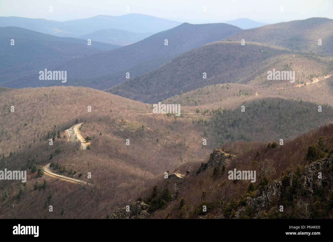 Malerische Skyline Drive, hier gesehen, ist eines der prominentesten Auto Touren, die Reisende im Staat Virginia genießen können, Shenandoah National Park Stockfoto