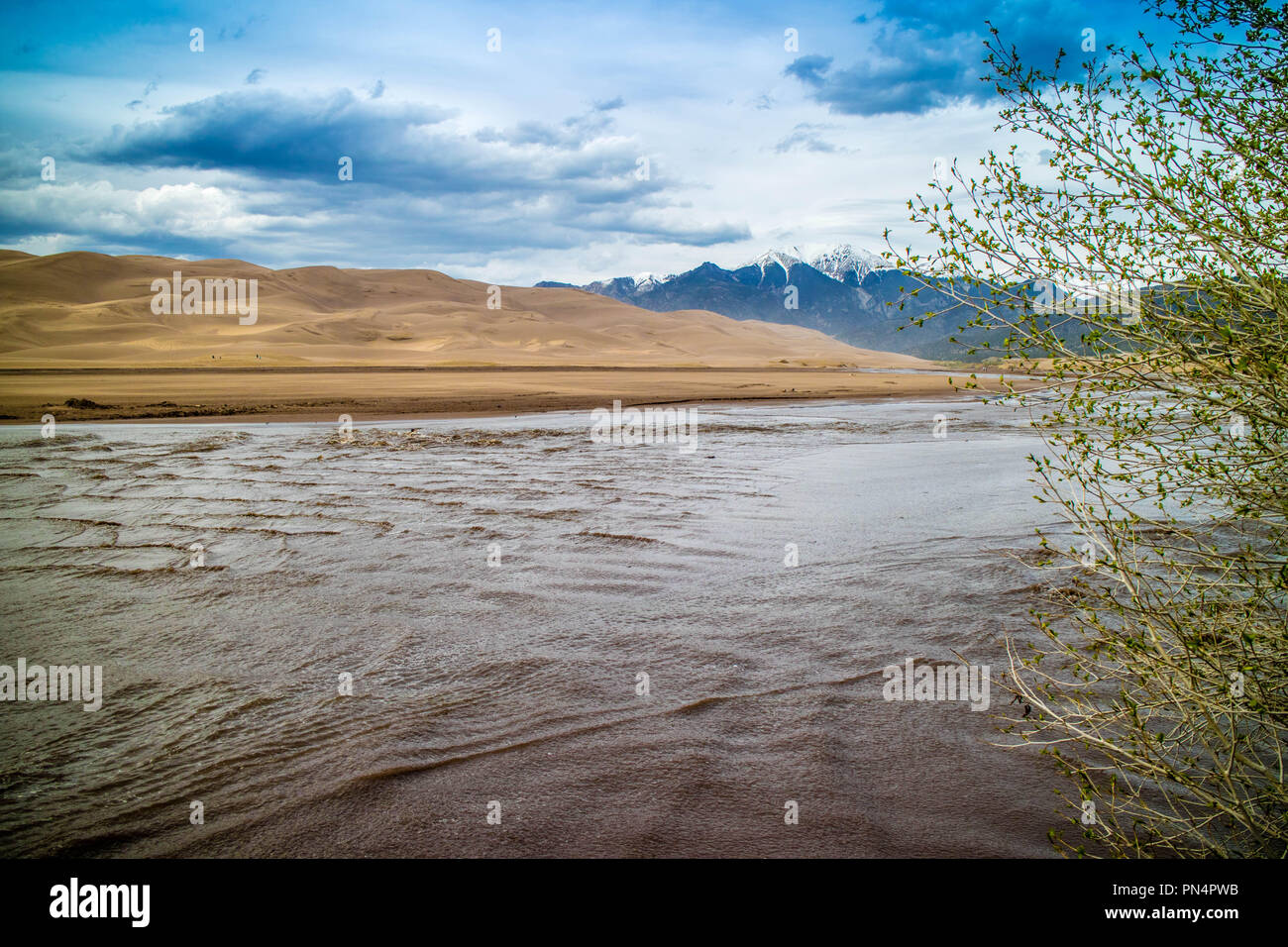 Medano Creek im Great Sand Dunes National Park, Colorado Stockfoto