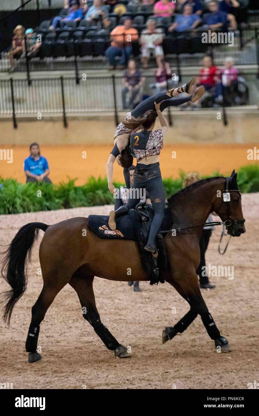 Tryon, Kalifornien, USA. Sept 2018 19. Vaulting. Einzelne und Nationen Cup. Team GB. GBR. Tag 8. World Equestrian Games. WEG 2018 Tryon. North Carolina. USA. 19.09.2018. Credit: Sport in Bildern/Alamy leben Nachrichten Stockfoto