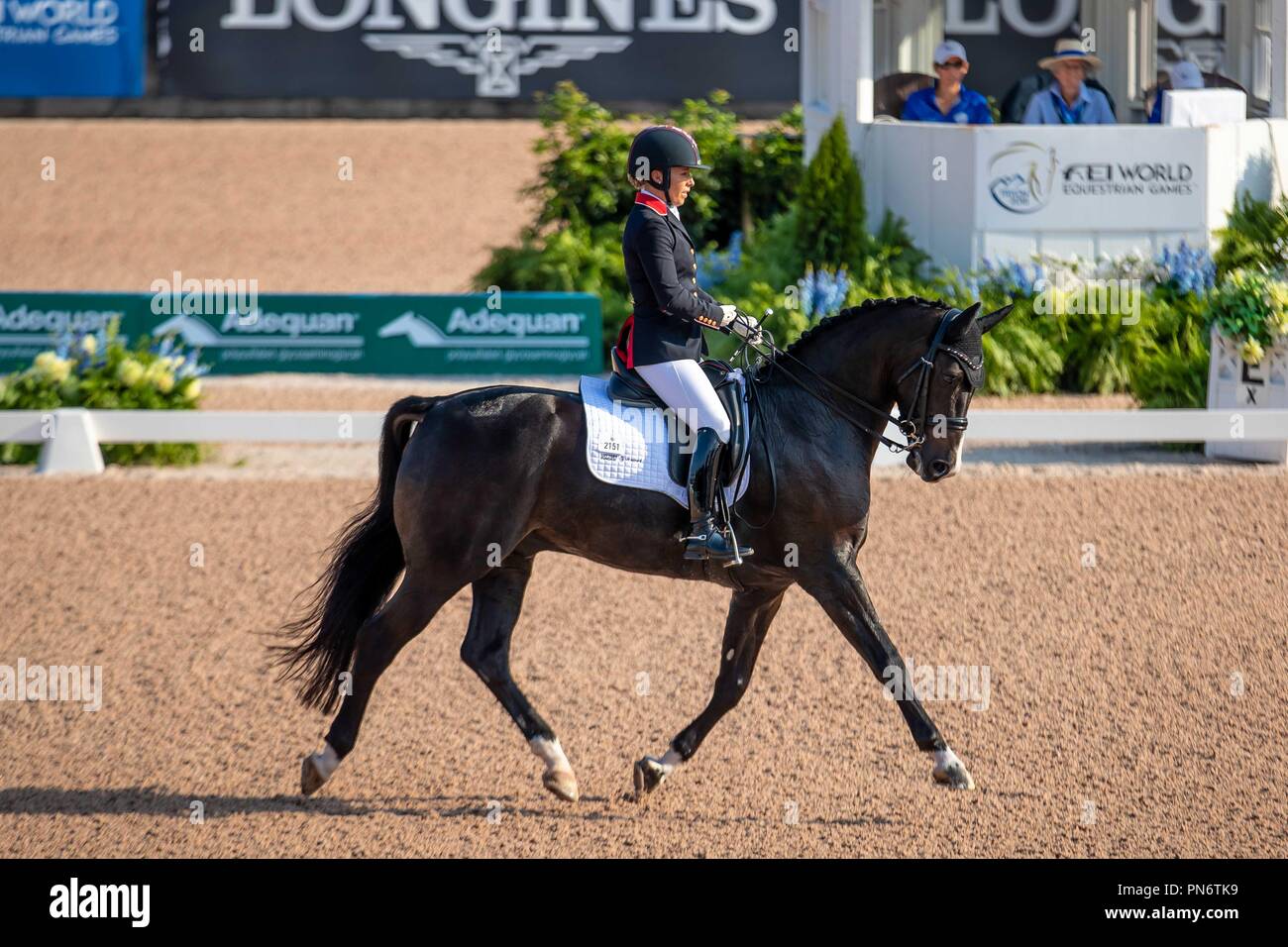Sophie Brunnen. C Fatal Attraction. GBR. Para Dressur Mannschaft Konkurrenz.9. World Equestrian Games. WEG 2018 Tryon. North Carolina. USA. 20/09/2018. Credit: Sport in Bildern/Alamy leben Nachrichten Stockfoto