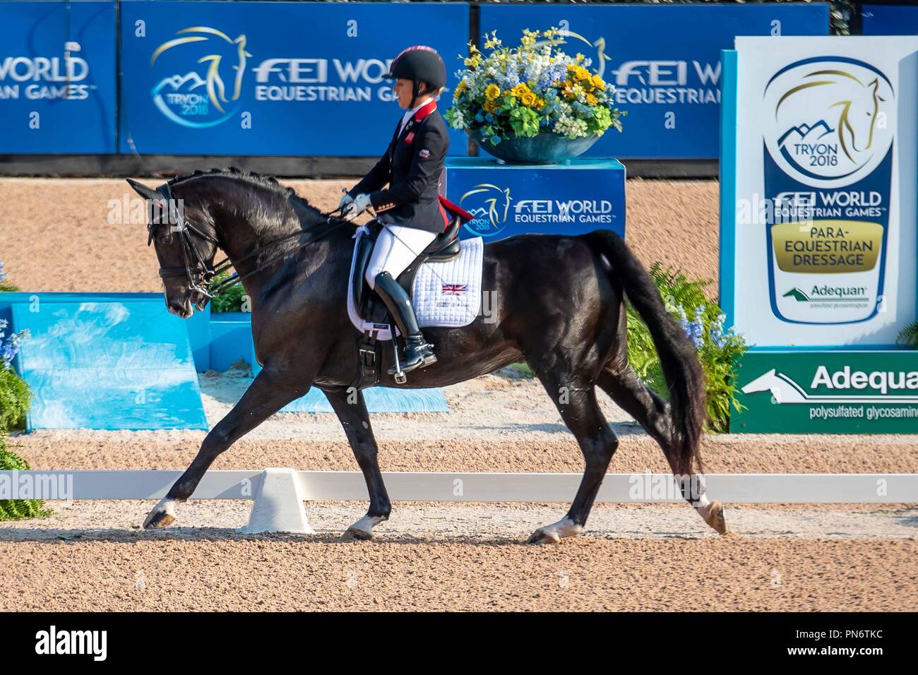 Sophie Brunnen. C Fatal Attraction. GBR. Para Dressur Mannschaft Konkurrenz.9. World Equestrian Games. WEG 2018 Tryon. North Carolina. USA. 20/09/2018. Credit: Sport in Bildern/Alamy leben Nachrichten Stockfoto