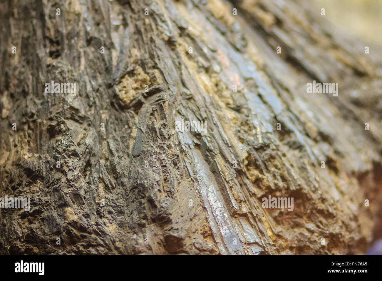Antimonit faserige Gewohnheit rock Muster von Bergbau und Gewinnung von Steinen und Erden Industrie. Antimonit Schwefelwasserstoff ist ein Mineral, mit der Formel Sb2S3 und es ist die imp Stockfoto