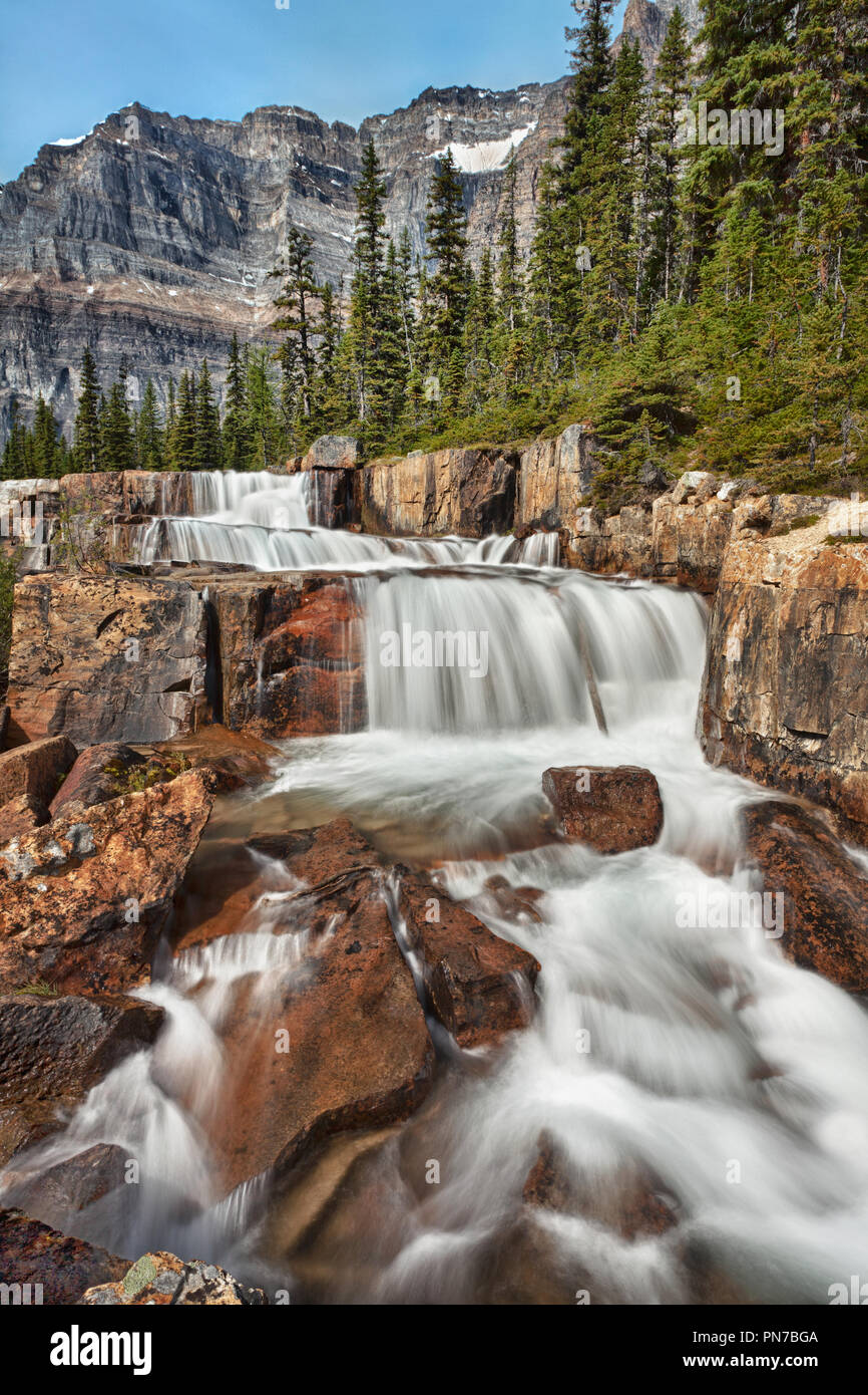 Giant Steps Wasserfall, Banff National Park, Alberta, Kanada mit langen Belichtungszeiten Wasser Stockfoto