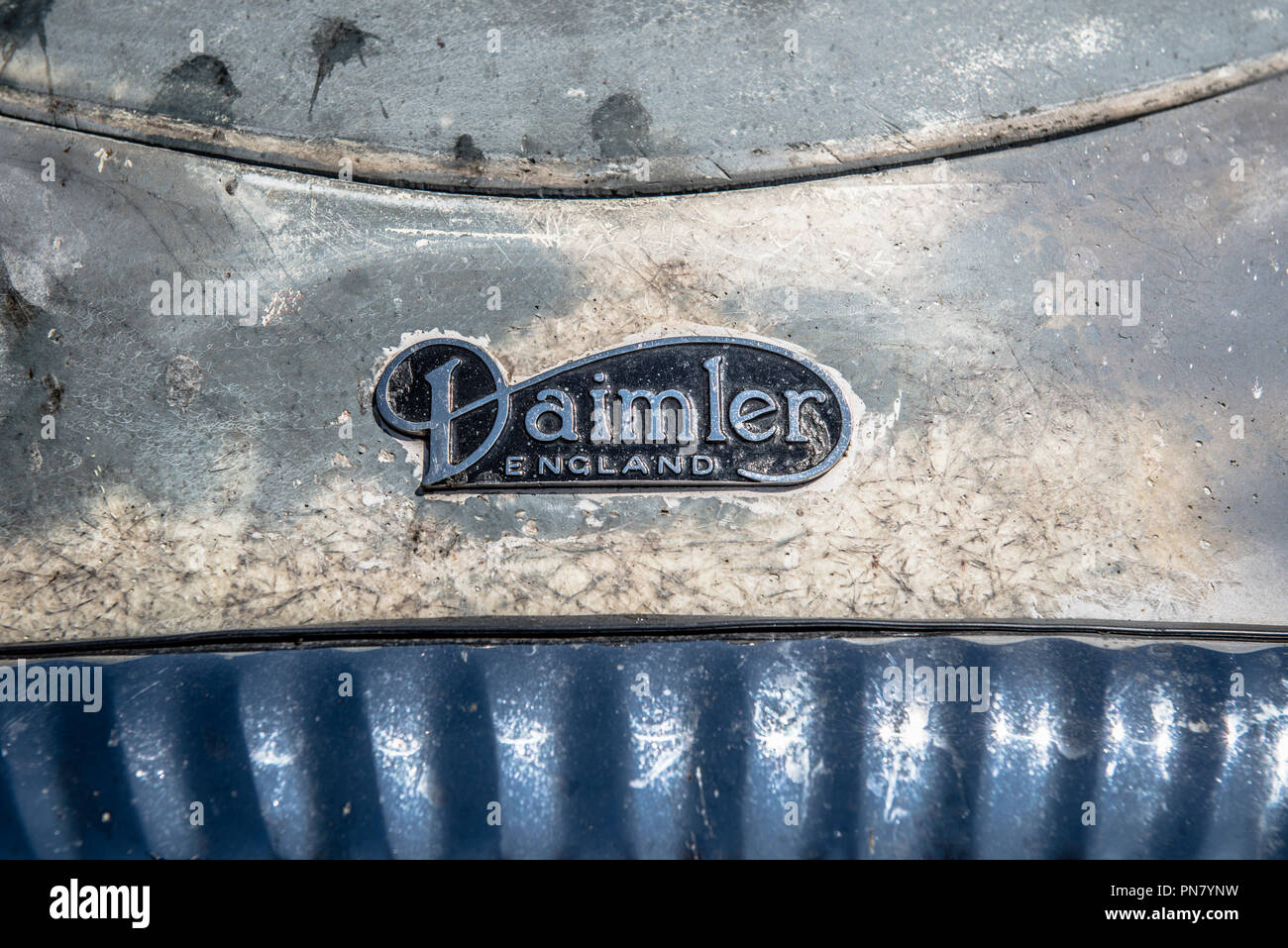 Daimler Motorhaube Abzeichen Stockfoto