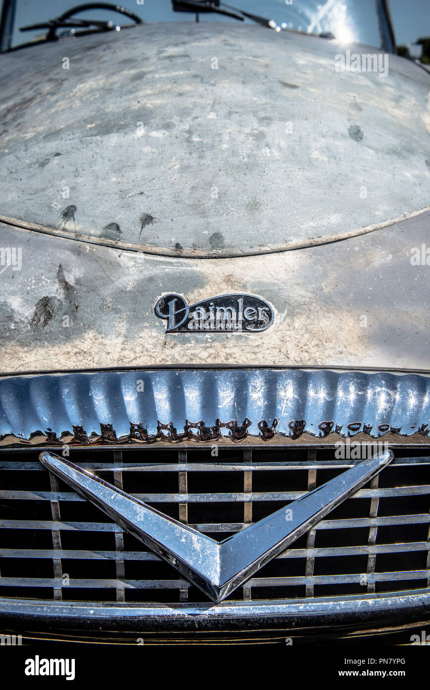 Daimler Motorhaube Abzeichen Stockfoto