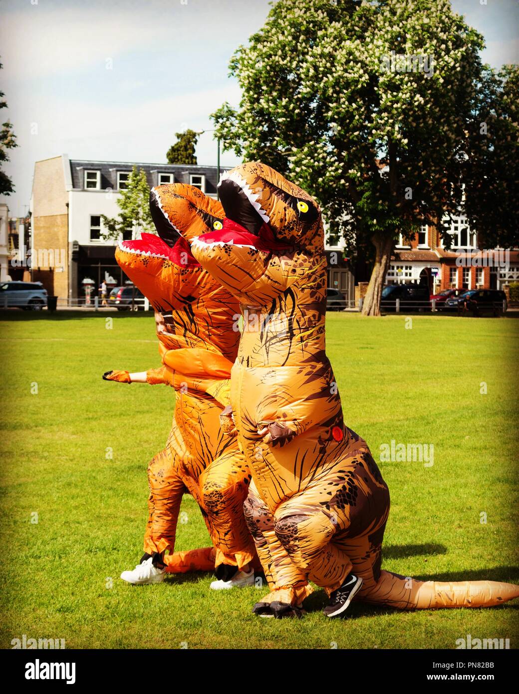 Zwei Menschen tragen aufblasbare Dinosaurier Kostüme (T-Rex) für Fancy Dress Spaziergang über das Twickenham Green, Großbritannien Stockfoto