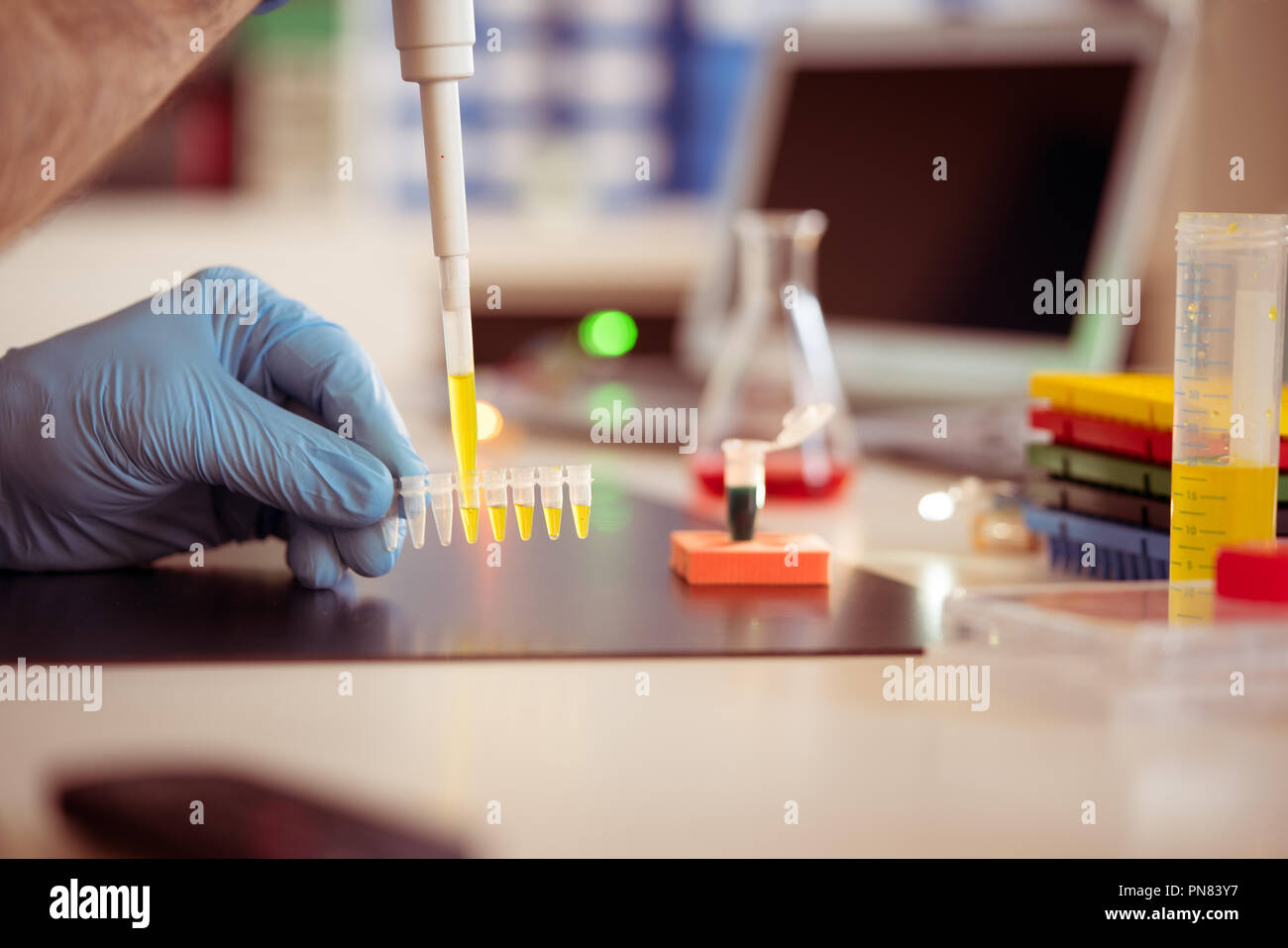 PCR-Streifen in der genetischen Labor Stockfoto