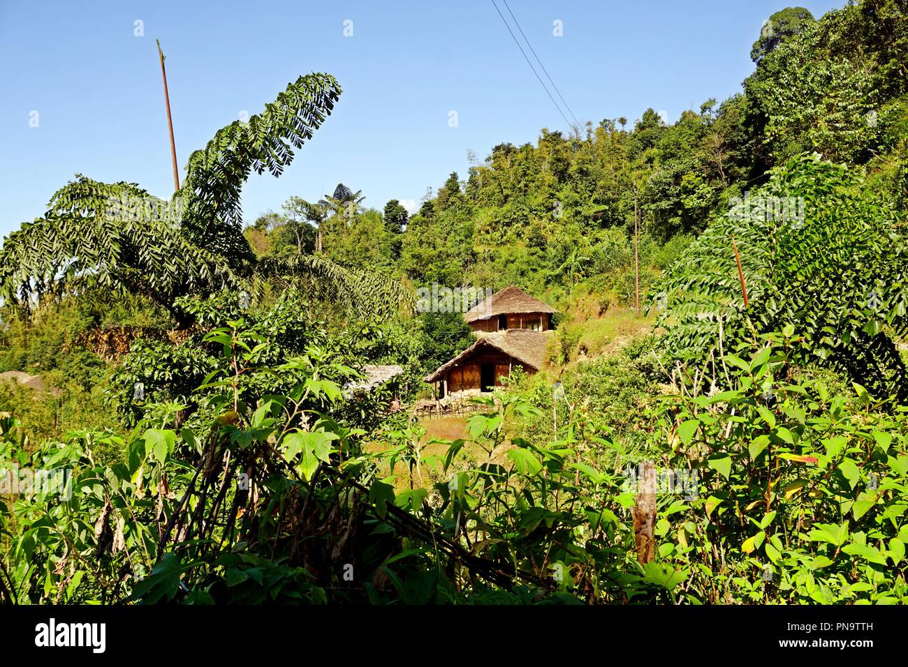 Prima mitweinander Long House in Longwa Tribal Dorf, Mon, Nagaland, Indien, Myanmar Stockfoto