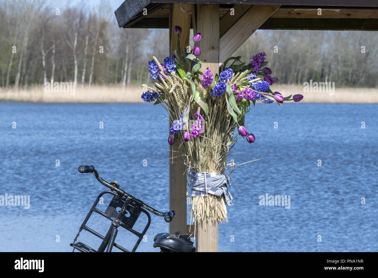 Oosterduinse See, Noordwijkerhout, Niederlande, April, 06 2018 - Ungerade Blume arrangiert, wird angezeigt. Stockfoto
