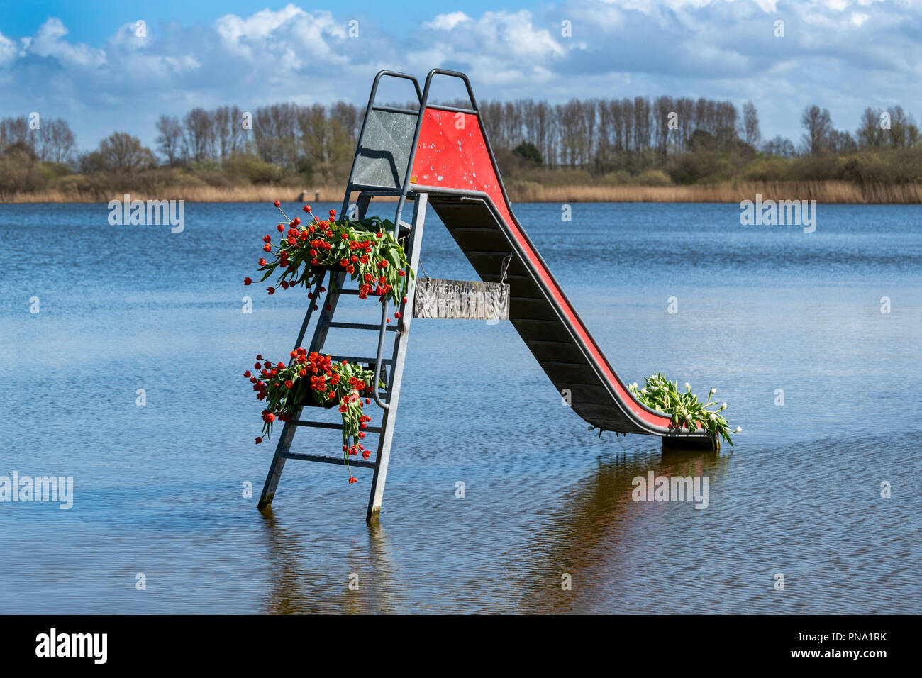 Oosterduinse See, Noordwijkerhout, Niederlande, April, 06 2018 - Ungerade Blume arrangiert, wird angezeigt. Stockfoto