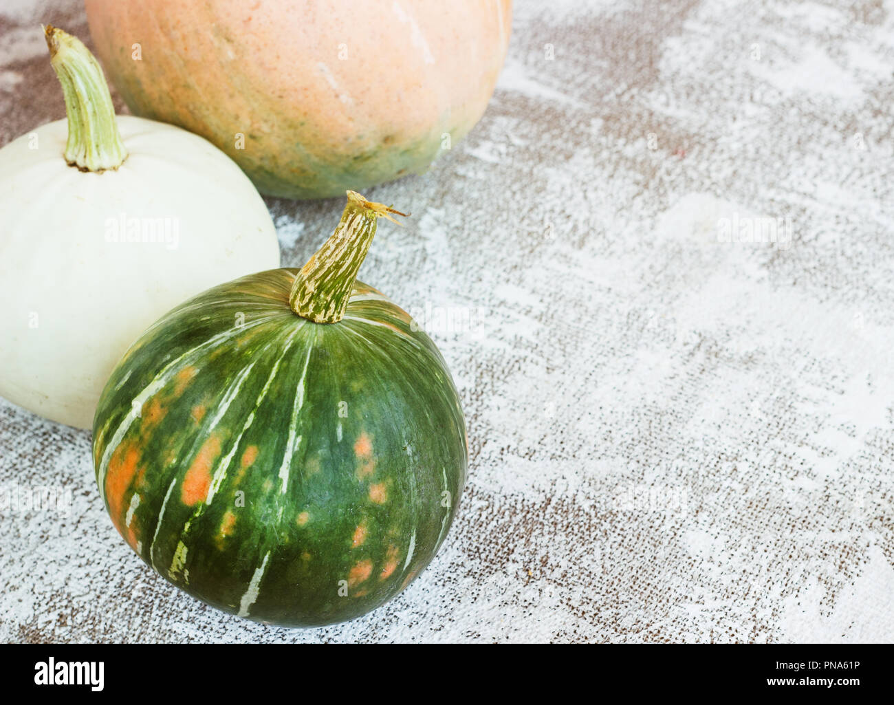 Herbst Komposition. Kürbisse auf weißem Hintergrund. Herbst, Herbst, halloween Konzept, kopieren Raum Stockfoto