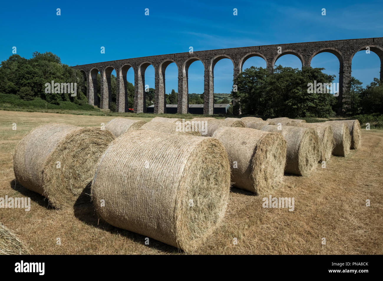 Bahn Viadukt auf der Zentralen Wales Linie in der Nähe von Dorf Cynghordy, Llandovery, Carmarthenshire, Wales UK Stockfoto