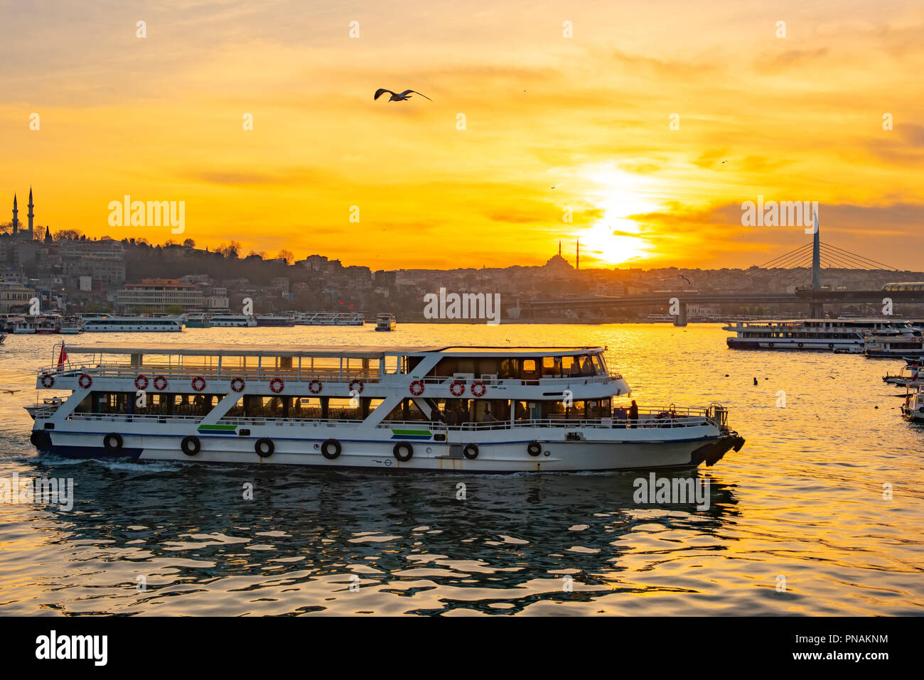 Touristenboot in Golden Horn Istanbul bei Sonnenuntergang, Türkei Stockfoto