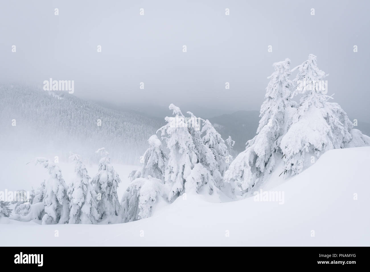 Traumhafte Winterlandschaft Stockfoto