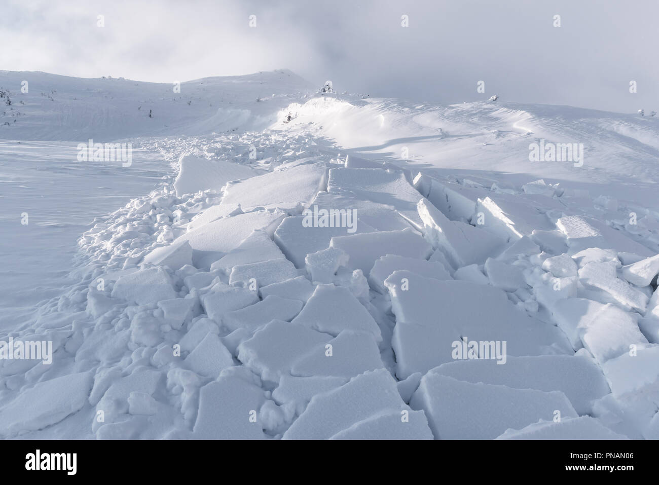 Schneelawine im Winter in den Bergen Stockfoto