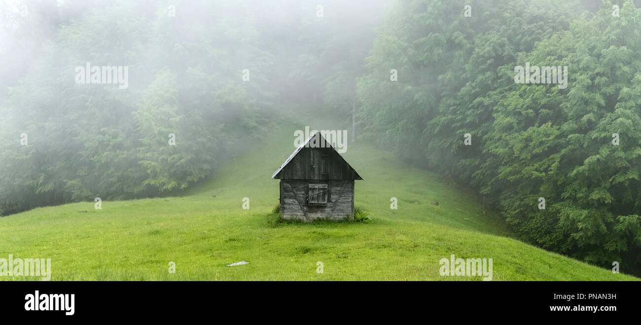 Allein Hütte im Wald Stockfoto