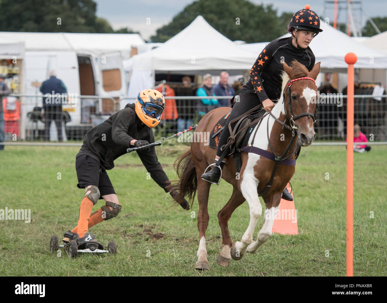 Cheshire Spiel & Country Fair 2018 - Pferdepension Stockfoto