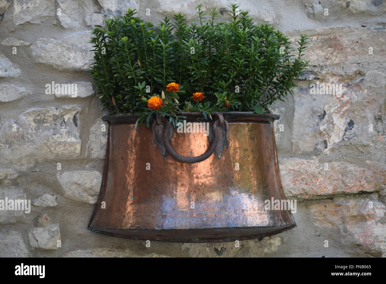 Kupfer Blumentopf auf Stein Wand mit orange Jasmin Stockfotografie - Alamy