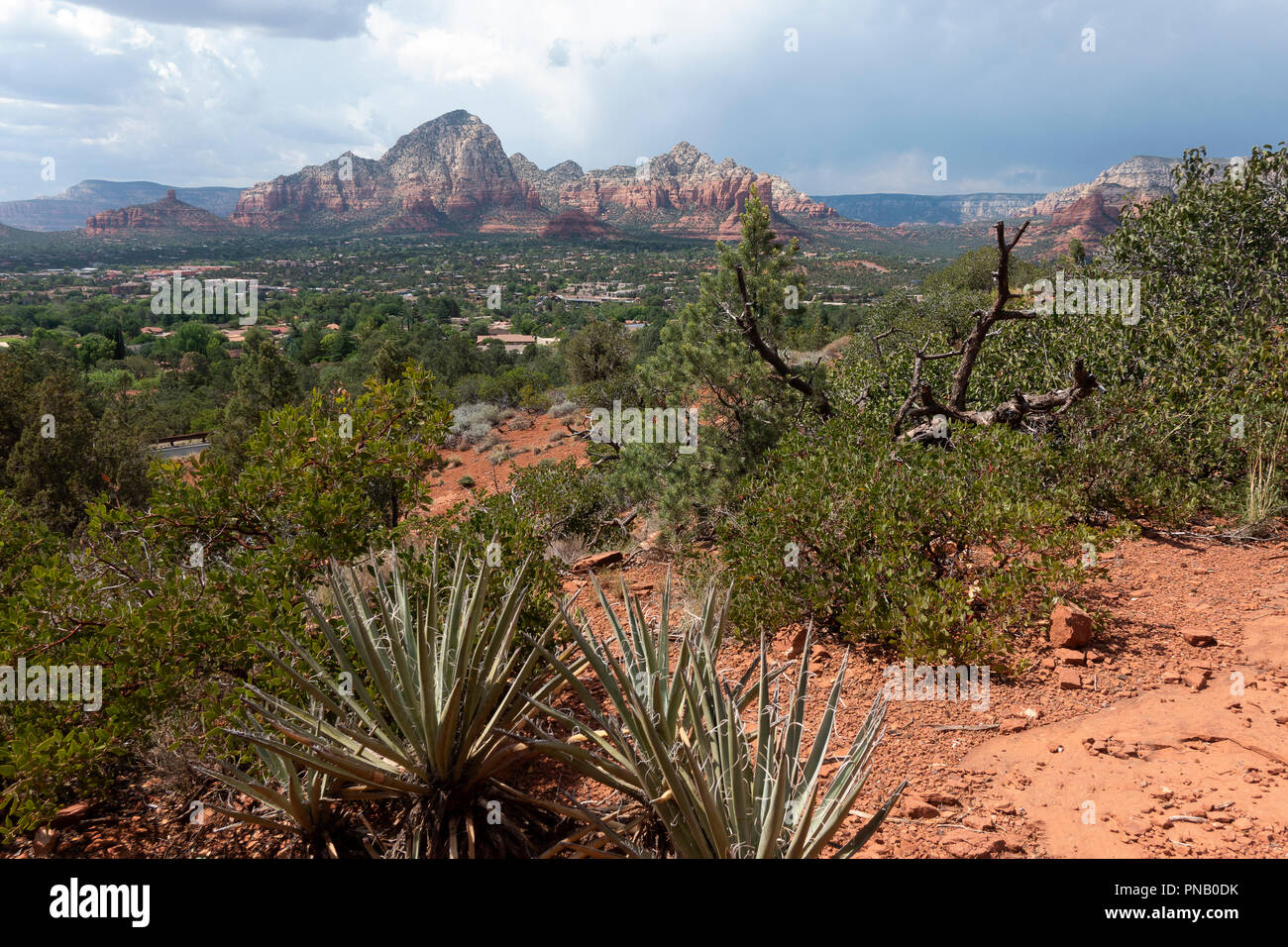 Blick über Sedona Arizona Stockfoto