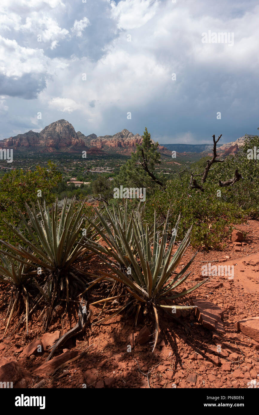 Blick über Sedona Arizona Stockfoto