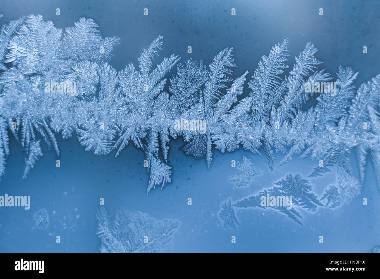 Streifen von Winter frosty White icy Muster auf blaue Glasscheibe. Stockfoto