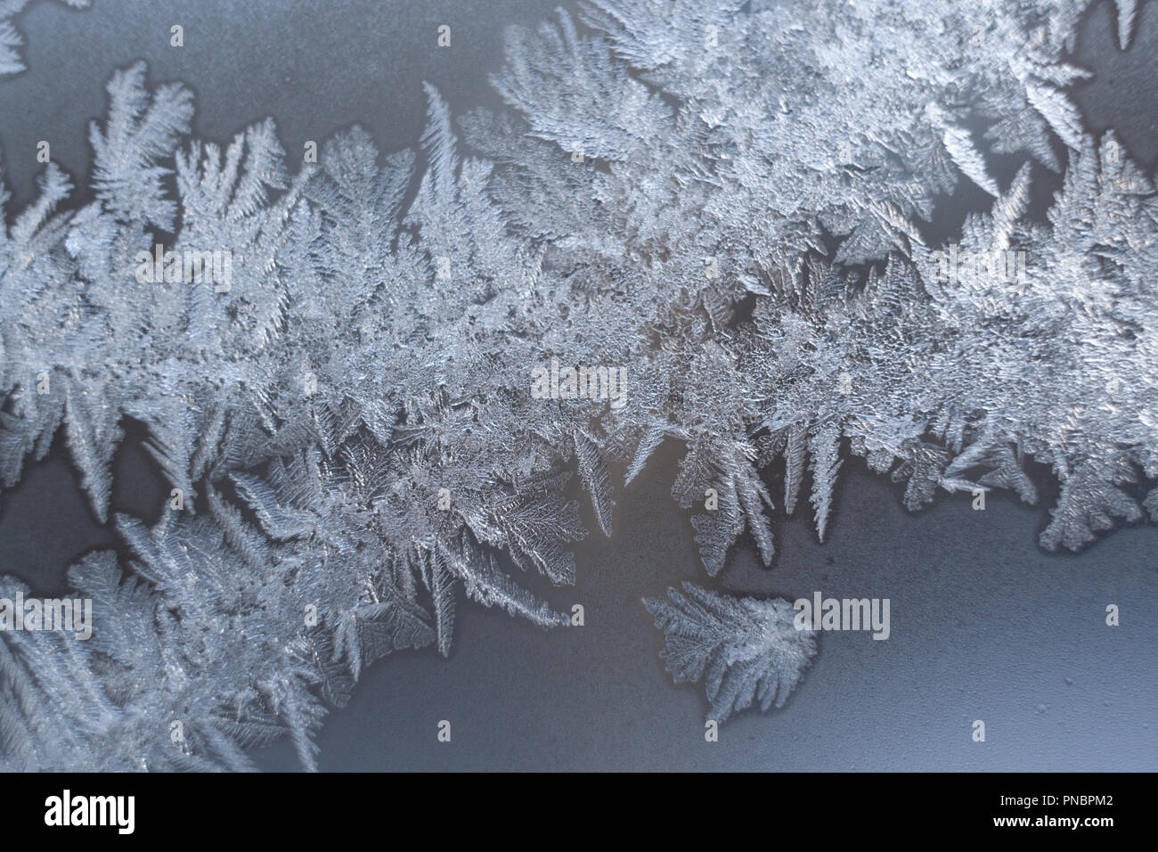 Openwork frosty White icy Muster auf Winter Glasscheibe. Stockfoto