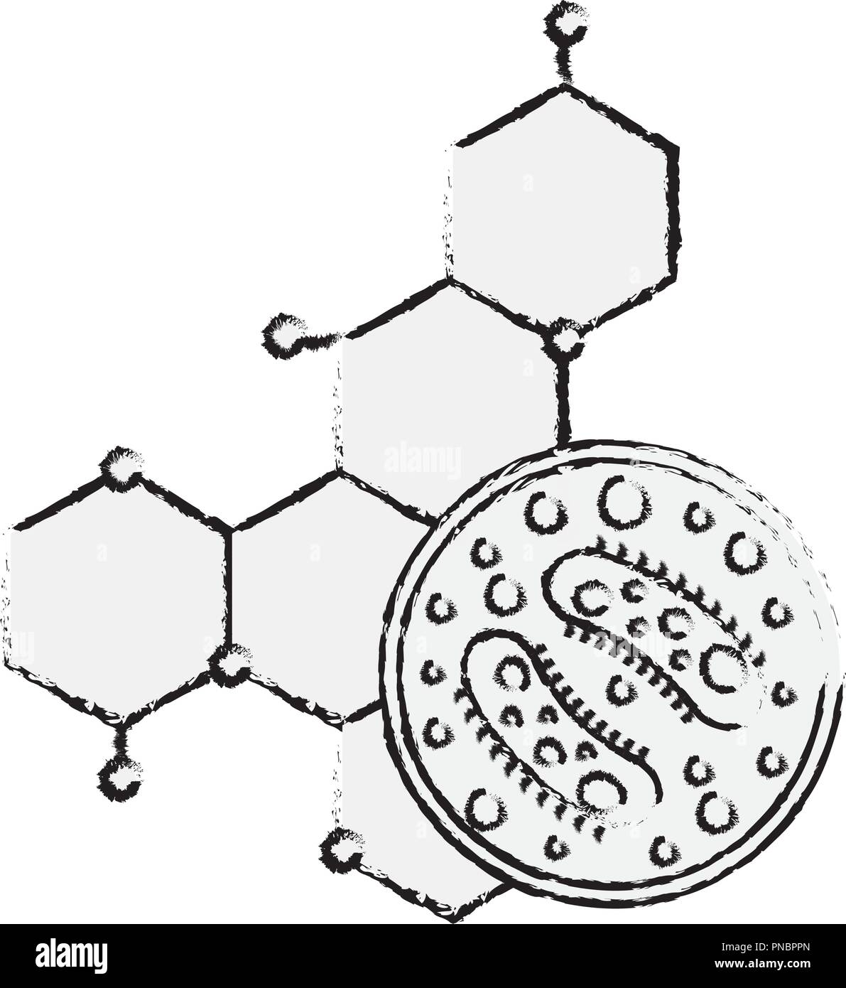 Wissenschaft Labor Petrischalen Bakterien Molekül Stock Vektor