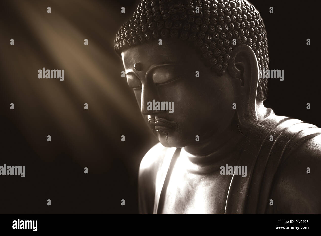 Ruhe Buddha mit Licht der Weisheit, friedlichen asiatischen Buddha zen Tao religion Kunst Stil Statue. Stockfoto