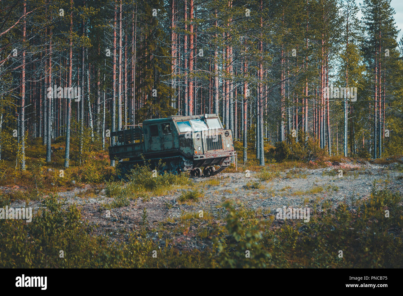 Alte sowjetische Artillerie Traktor durch die Wälder bei Suomussalmi in Finnland Stockfoto