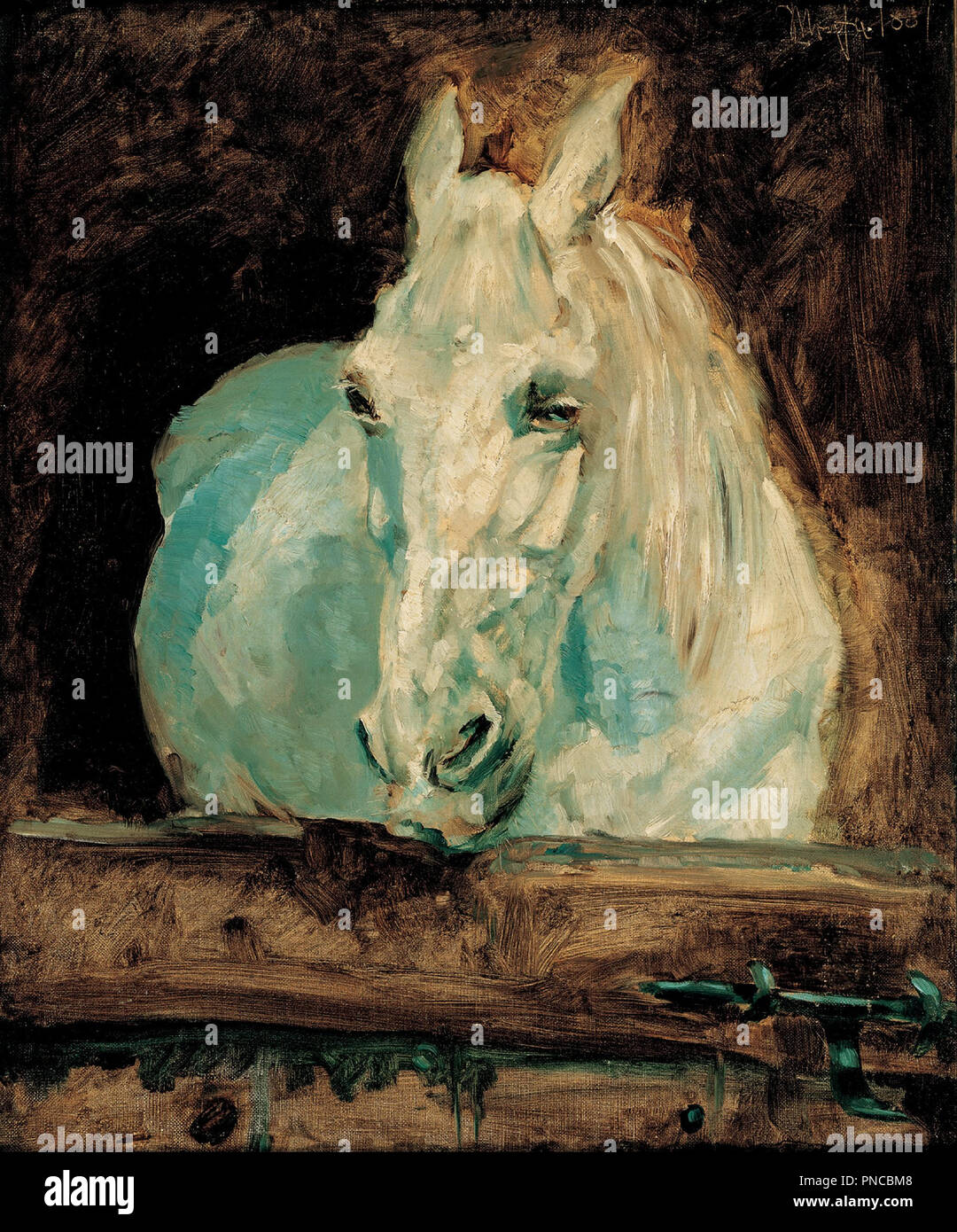 Das weiße Pferd "Gazelle", 1881. Datum/Zeitraum: 1881. Malerei. Öl auf Leinwand. Höhe: 61 cm (24 in); Breite: 49,5 cm (19,4 in). Autor: Henri Toulouse-Lautrec. Henri de Toulouse-Lautrec. Stockfoto