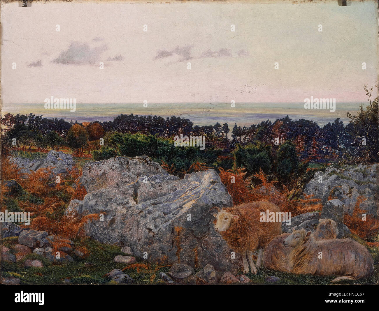 Morecambe Bay aus Warton Crag. Datum/Zeit: 1862. Malerei. Öl auf Leinwand. Höhe: 251 mm (9,88 in); Breite: 335 mm (13.18 in). Autor: Daniel Alexander Williamson. Stockfoto