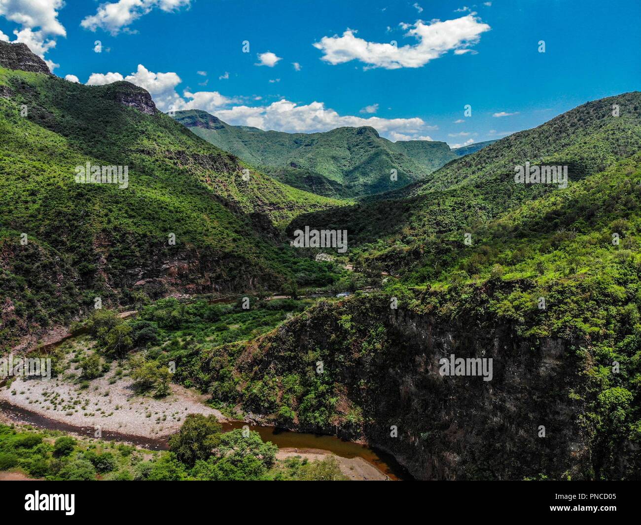 Vista Aerea. Verde paisaje y Arroyo de un dia nublado, durante Expedición Entdeckung Madrense en La Mesa Tres Rios, Sonora Mexico. Sierra Madre Occiden Stockfoto