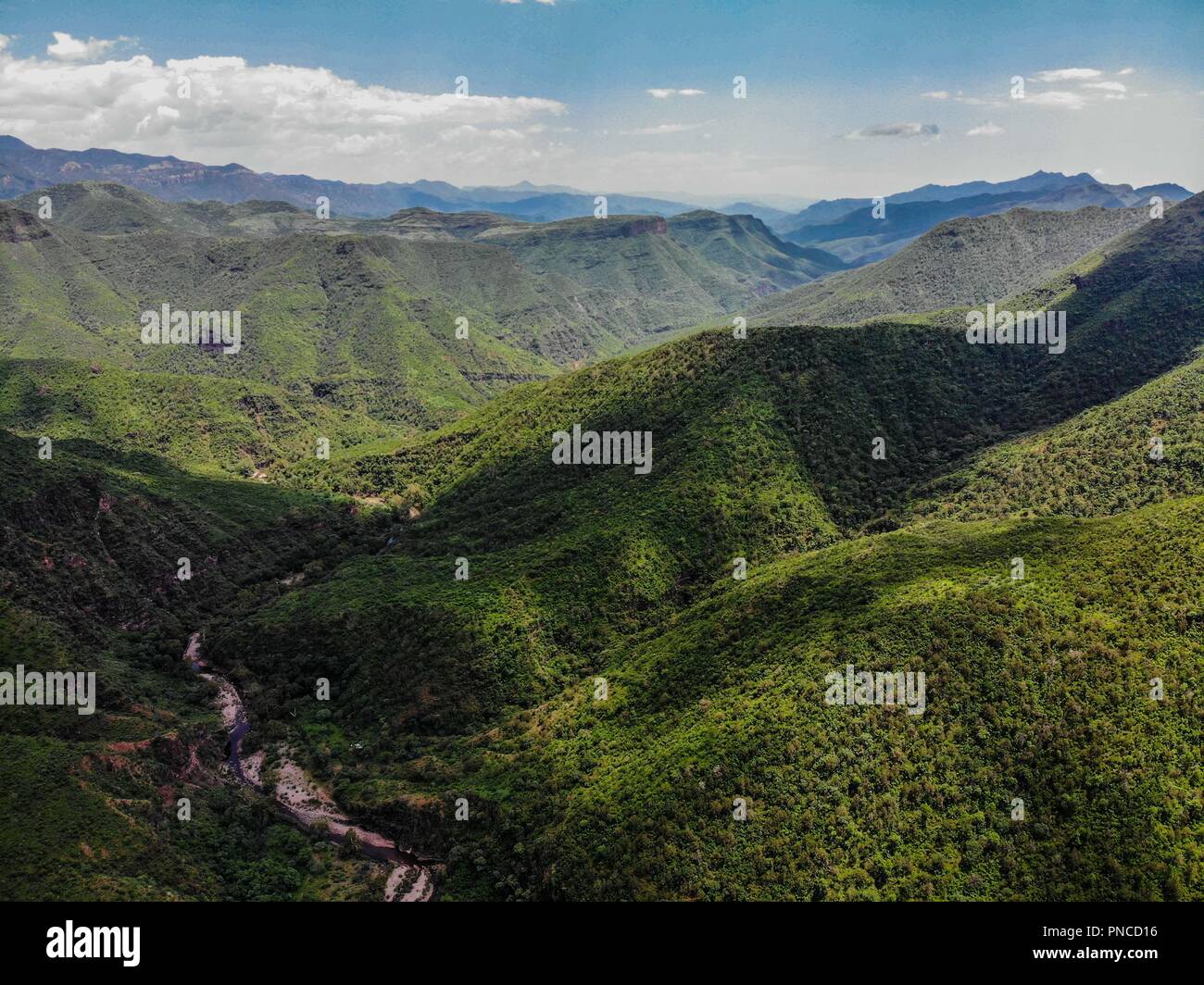 Vista Aerea. Verde paisaje y Arroyo de un dia nublado, durante Expedición Entdeckung Madrense en La Mesa Tres Rios, Sonora Mexico. Sierra Madre Occiden Stockfoto