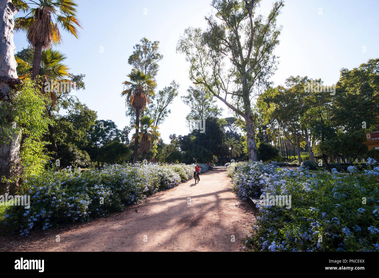 Spanien, Sevilla: Der Parque de María Luisa (María Luisa Park) ist ein öffentlicher Park, entlang dem Fluss Guadalquivir erstreckt. Es ist von Sevilla principal g Stockfoto