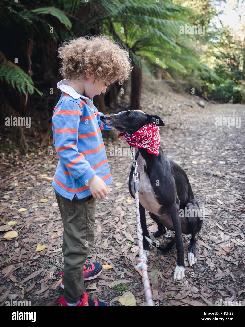 Junge Junge und sein Hund liebevoll an, als sie eine Pause bei einem Spaziergang in den Wald Stockfoto