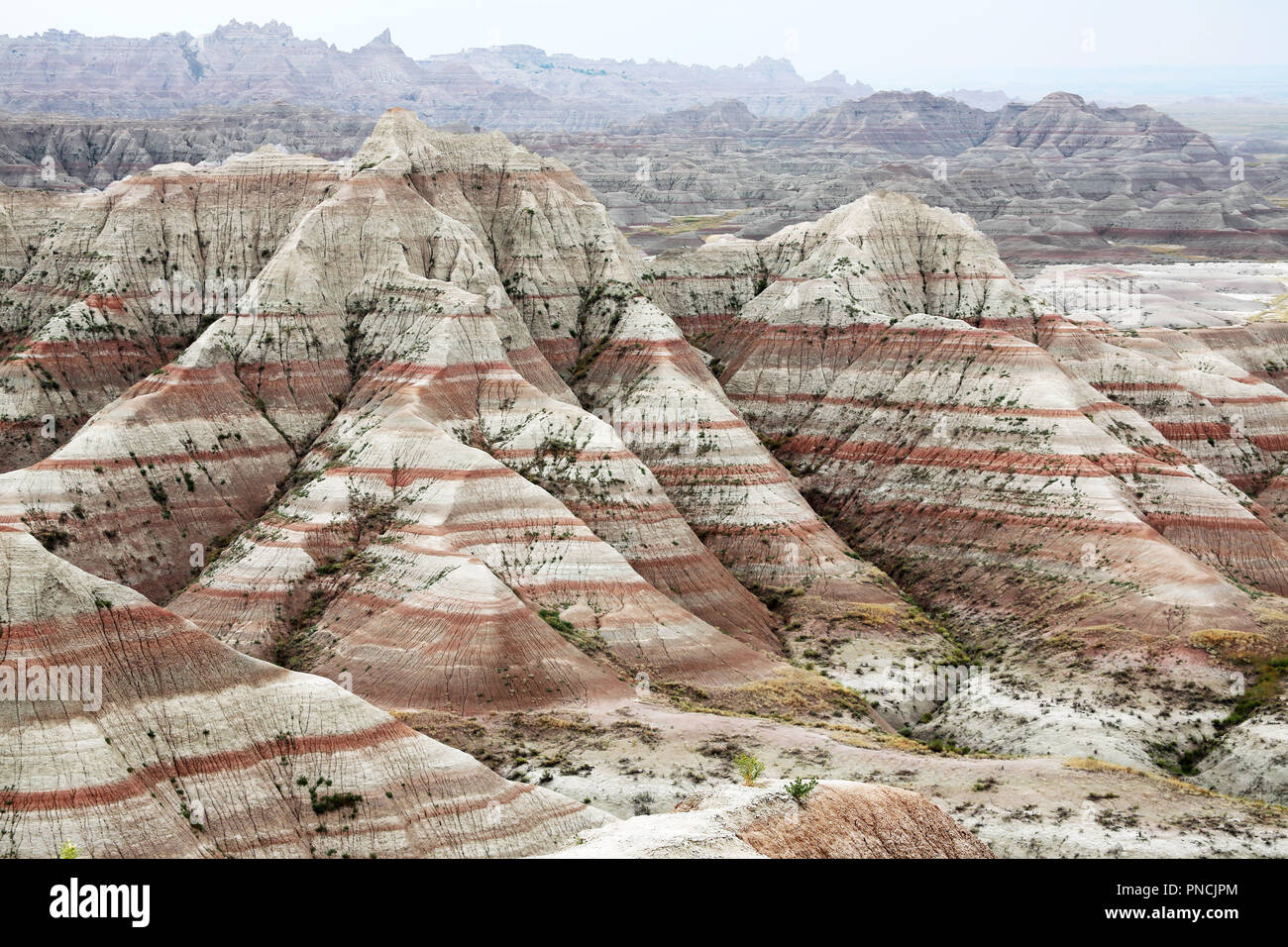 Abwechselnd rot und weiss gefärbt geologische Betten durch Erosion ausgesetzt Stockfoto