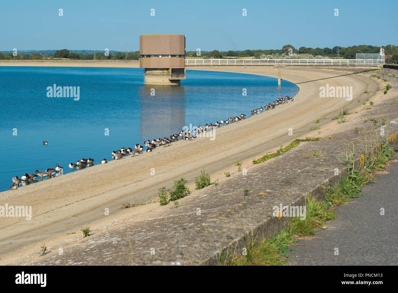 Arlington Stausee wandern, East Sussex, Großbritannien Stockfoto