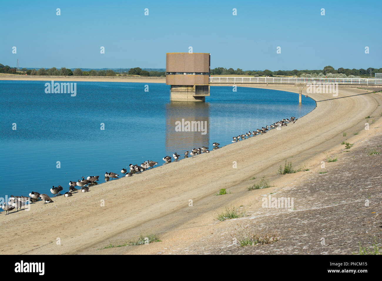 Arlington Stausee wandern, East Sussex, Großbritannien Stockfoto