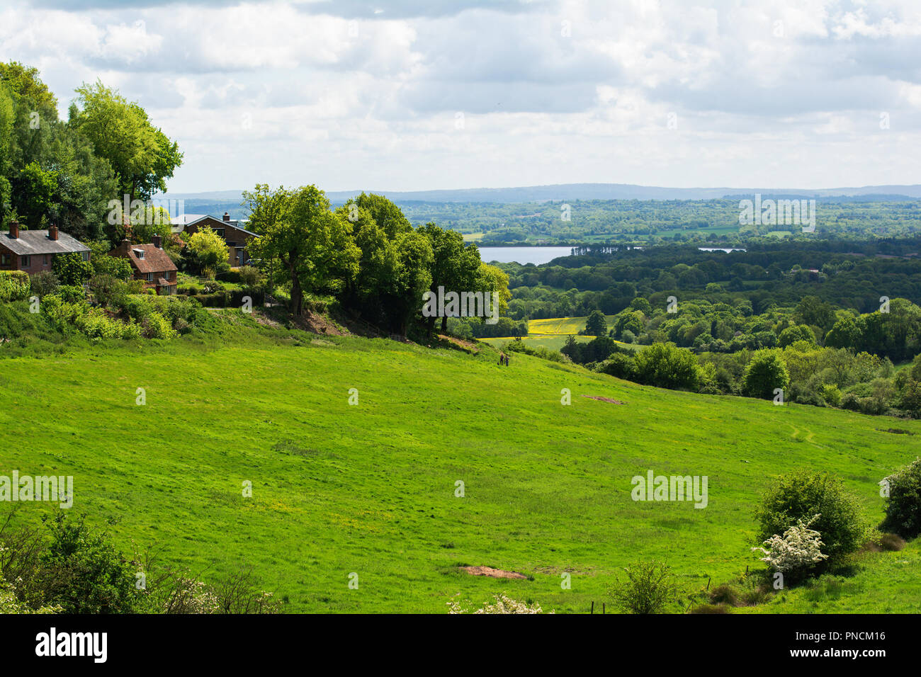 Ide-Hügel Landschaft, Landschaft von Kent, Sevenoaks. Spaziergänge um den See, selektiven Fokus Stockfoto