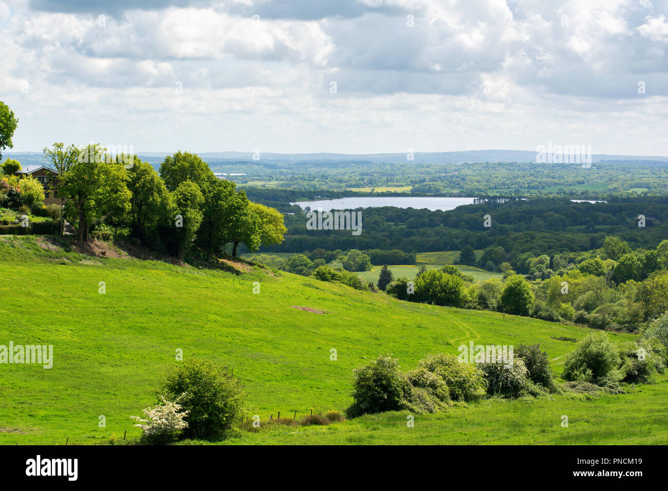 Ide-Hügel Landschaft, Landschaft von Kent, Sevenoaks. Spaziergänge um den See und die Wälder, selektiven Fokus Stockfoto